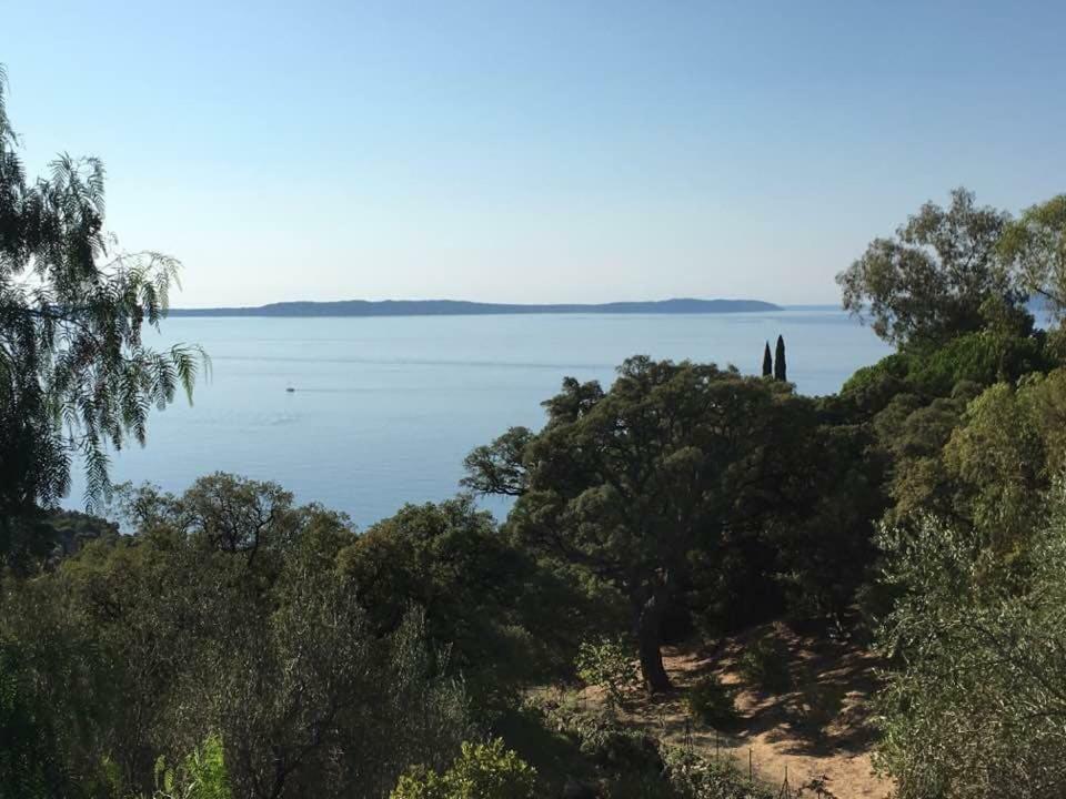 Lou Pastourel Villa Le Lavandou Exterior photo